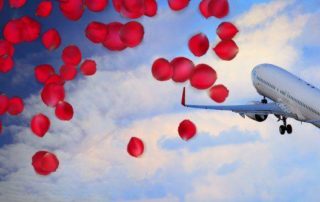 ROTE ROSEN ZUM VALENTINSTAG